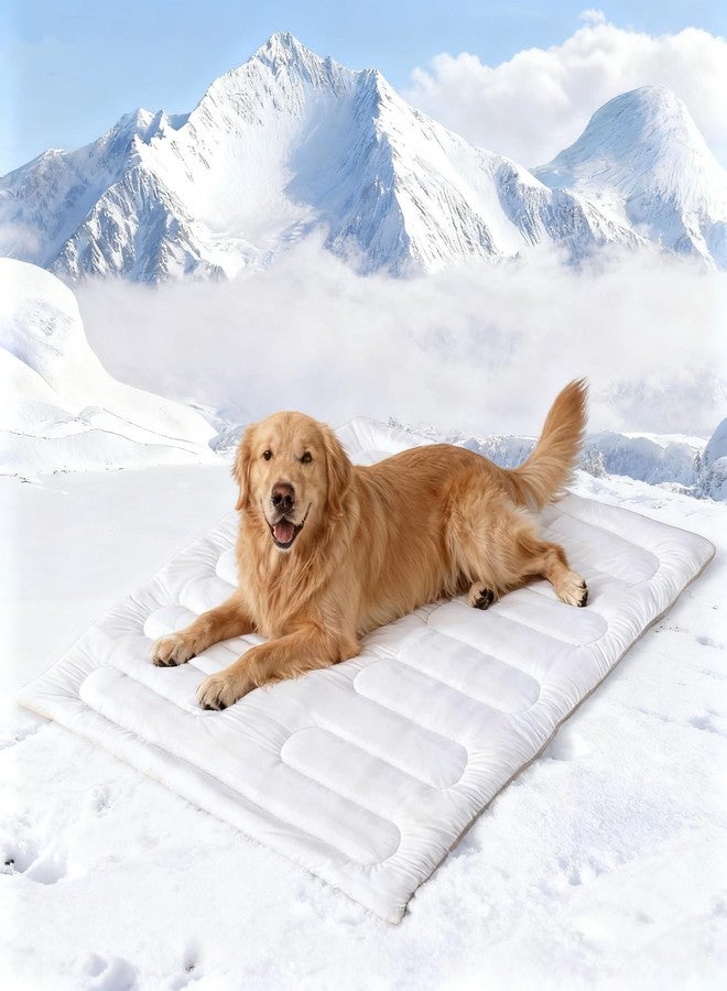 YOUWE7 حصيرة تبريد للكلاب من YOUWE7، حصيرة تبريد ذاتية قابلة للعكس للحيوانات الأليفة، سطح علوي من القماش البارد وظهر مخملي، سرير محمول للكلاب من قماش بارد كالثلج، وسادة تبريد صيفية سهلة الغسل للحيوانات الأليفة للاستخدام الداخلي والخارجي (XL (59.0 بوصة * 39.8 بوصة)) - Image 1